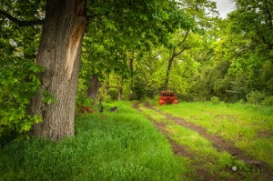 Old red car